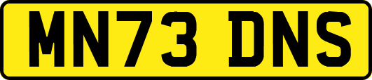 MN73DNS