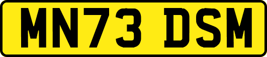 MN73DSM