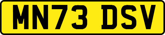 MN73DSV
