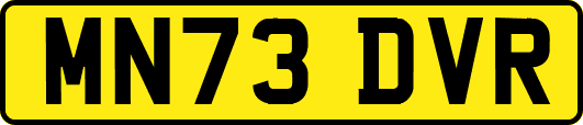 MN73DVR