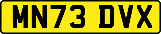 MN73DVX