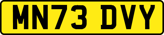 MN73DVY