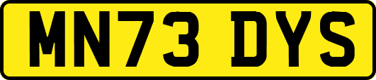 MN73DYS