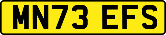 MN73EFS