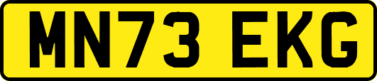 MN73EKG