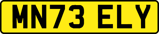 MN73ELY
