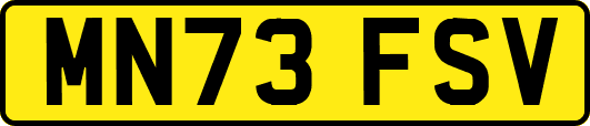 MN73FSV