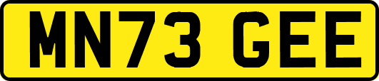 MN73GEE