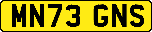 MN73GNS
