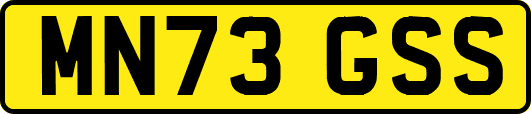 MN73GSS