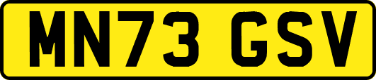 MN73GSV