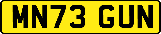MN73GUN
