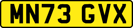 MN73GVX