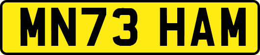 MN73HAM