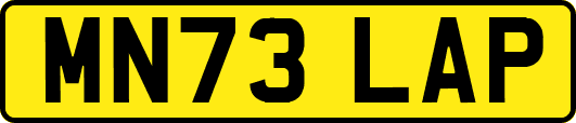 MN73LAP