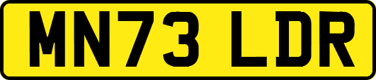 MN73LDR