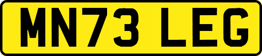 MN73LEG