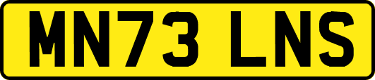 MN73LNS