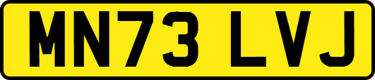 MN73LVJ