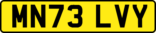 MN73LVY