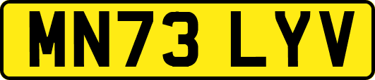MN73LYV