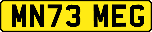 MN73MEG