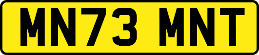 MN73MNT