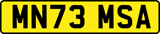 MN73MSA