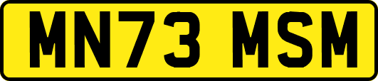 MN73MSM