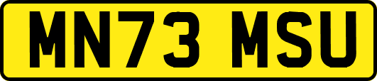 MN73MSU