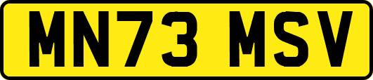 MN73MSV