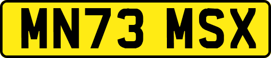 MN73MSX