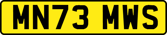 MN73MWS