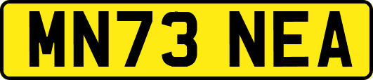 MN73NEA