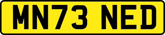 MN73NED