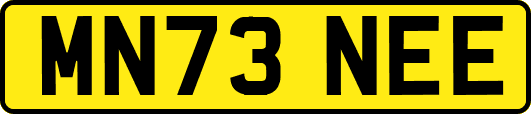 MN73NEE