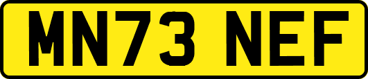 MN73NEF