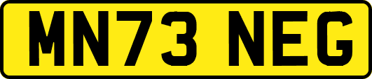 MN73NEG