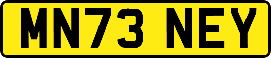 MN73NEY