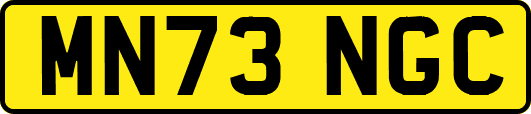MN73NGC