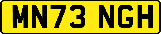 MN73NGH