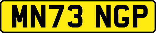 MN73NGP