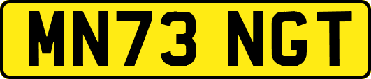 MN73NGT