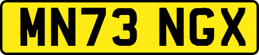 MN73NGX