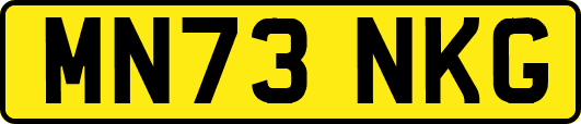 MN73NKG