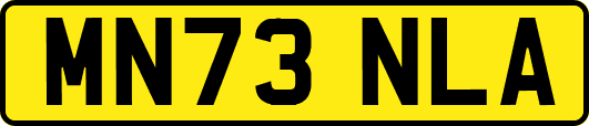 MN73NLA