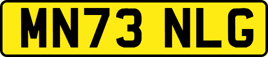 MN73NLG