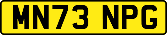 MN73NPG