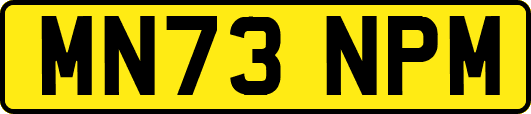 MN73NPM