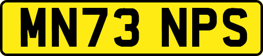 MN73NPS